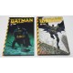 BATMAN TIERRA DE NADIE - 2 TOMOS